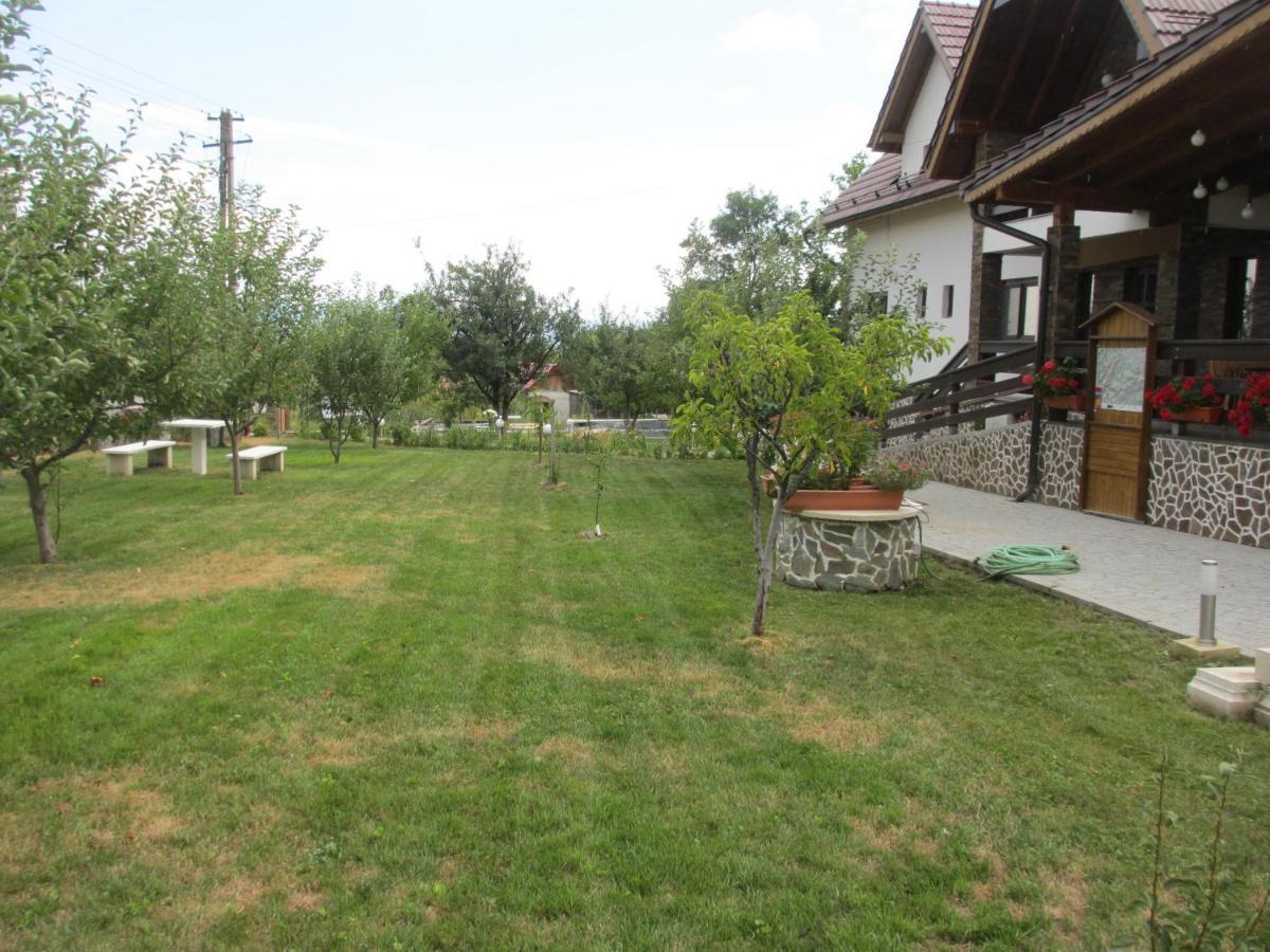 Nut House Retezat Hotel Nucsoara  Exterior photo
