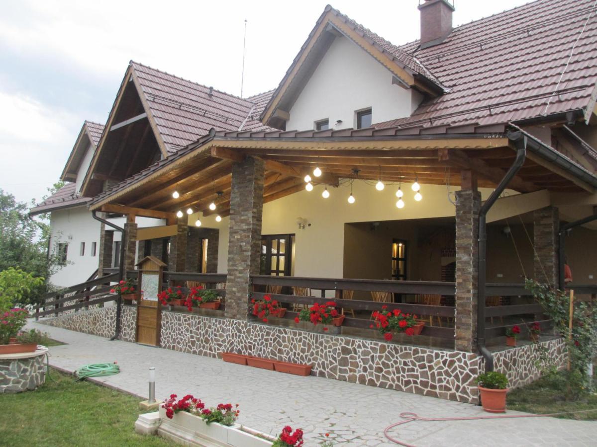 Nut House Retezat Hotel Nucsoara  Exterior photo