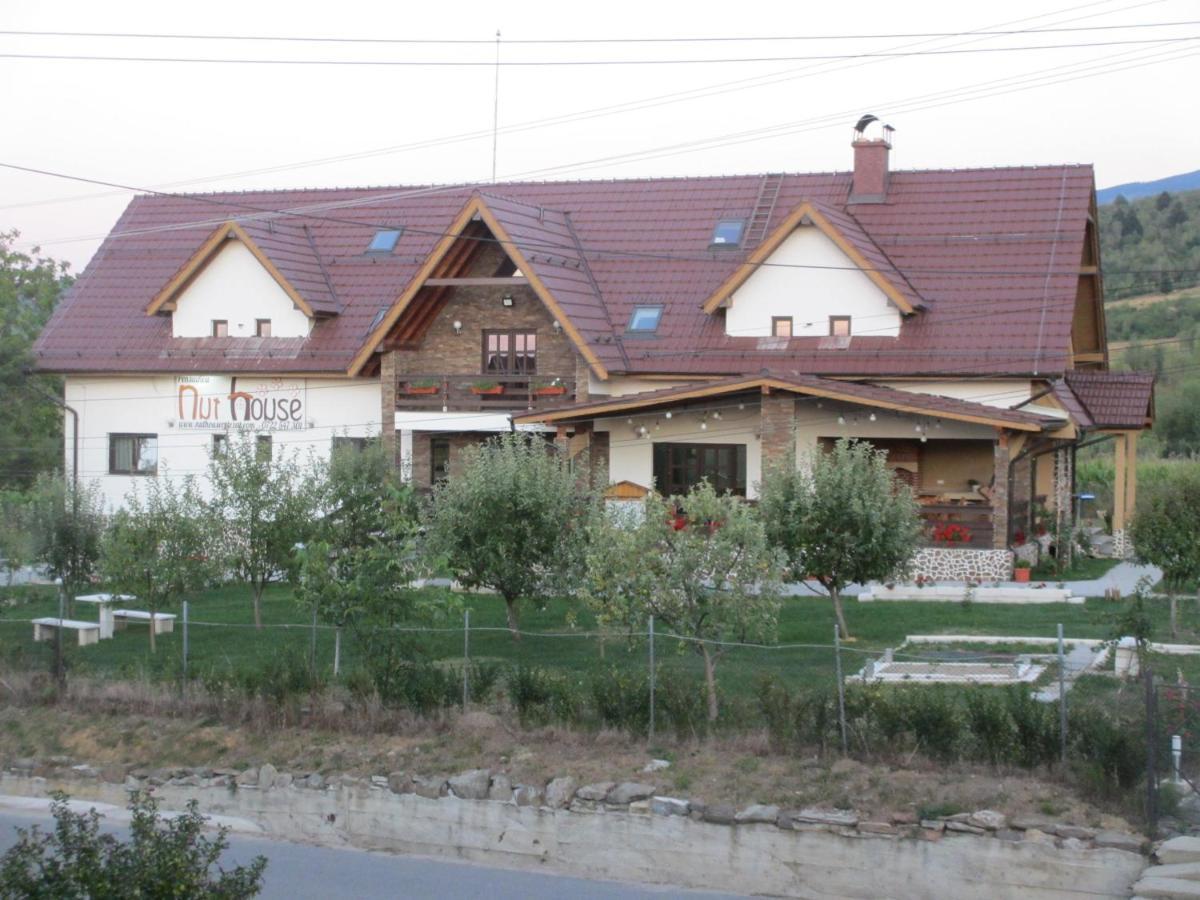 Nut House Retezat Hotel Nucsoara  Exterior photo