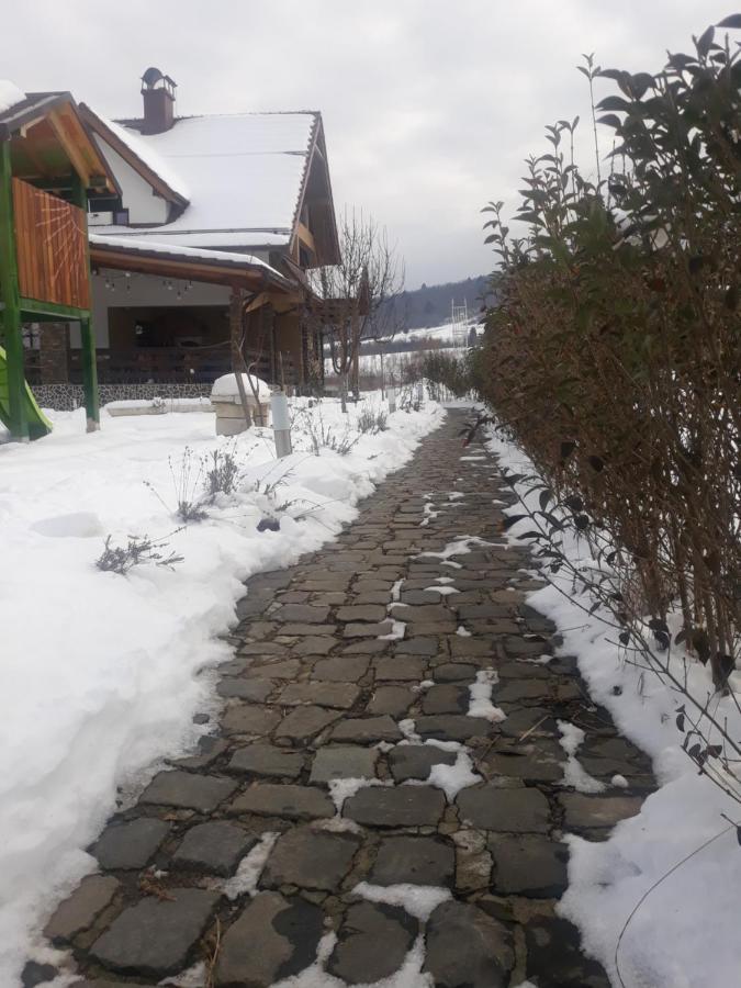 Nut House Retezat Hotel Nucsoara  Exterior photo