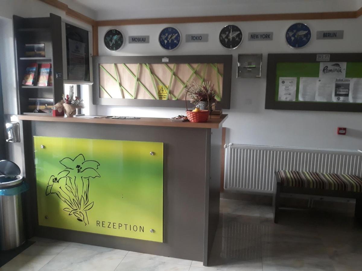 Nut House Retezat Hotel Nucsoara  Exterior photo